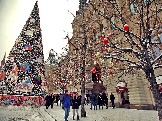 3 IMG_6364.jpg